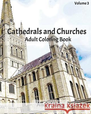 Cathedrals and Churches: Adult Coloring Book, Volume 3: Cathedral Sketches for Coloring Alicia Lasley 9781530167920 Createspace Independent Publishing Platform