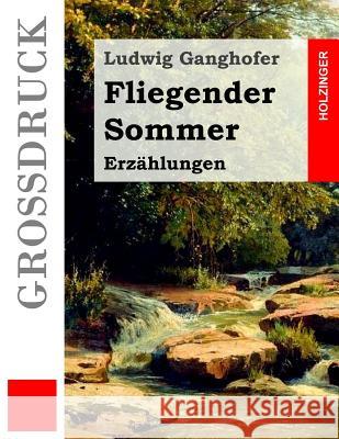 Fliegender Sommer (Großdruck): Erzählungen Ganghofer, Ludwig 9781530184132