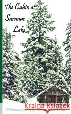 The Cabin at Saranac Lake: Wilderness Poems David Robert Cone 9781530210251