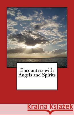 Encounters with Angels and Spirits Bob Walsh 9781530436446 Createspace Independent Publishing Platform