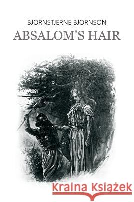 Absalom's Hair Bjornstjerne Bjornson 9781530473069