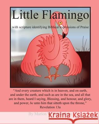 Little Flamingo: identifying Biblical expressions of Praise Richardson, Marion W. 9781530529452 Createspace Independent Publishing Platform