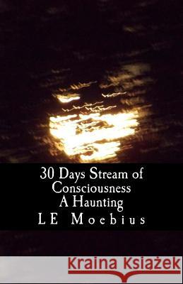 30 Days Streams of Consciousness: A Haunting L. E. Moebius 9781530530113 Createspace Independent Publishing Platform