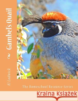 Gambel's Quail: The Homeschool Resource Series Al Lodwick 9781530673162 Createspace Independent Publishing Platform