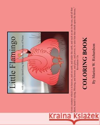 Little Flamingo Coloring Book Marion W. Richardson 9781530745739 Createspace Independent Publishing Platform