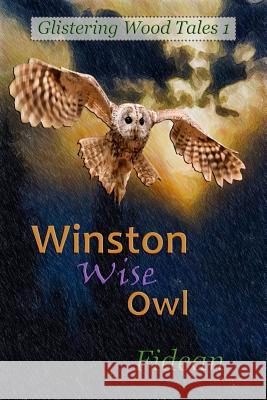 Winston Wise Owl Fidean 9781530892983 Createspace Independent Publishing Platform