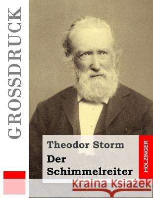 Der Schimmelreiter (Großdruck) Storm, Theodor 9781530988716 Createspace Independent Publishing Platform