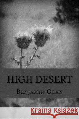 High Desert Benjamin Q. Chan 9781530998197