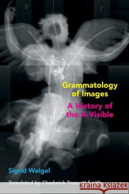 Grammatology of Images: A History of the A-Visible Sigrid Weigel Chadwick Truscott Smith 9781531500153 Fordham University Press