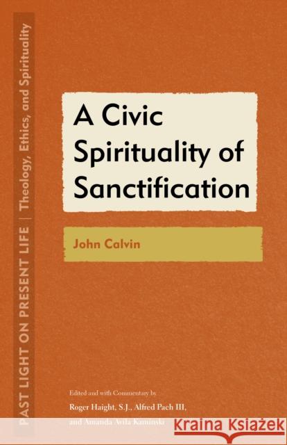 A Civic Spirituality of Sanctification: John Calvin Roger Haight Alfred Pach Amanda Avila Kaminski 9781531505745