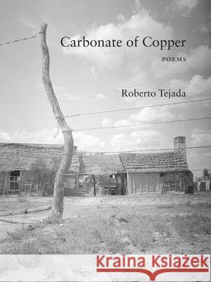 Carbonate of Copper Roberto Tejada 9781531509705 Fordham University Press