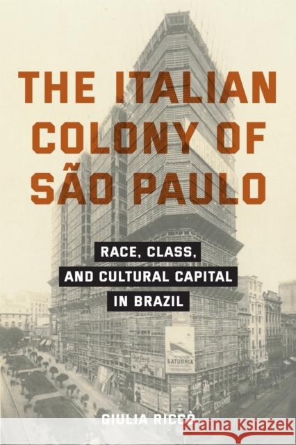 The Italian Colony of S?o Paulo: Race, Class, and Cultural Capital in Brazil Giulia Ricco 9781531512248 Fordham University Press