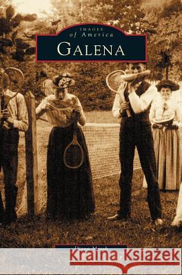 Galena, Illinois DiAnn Marsh 9781531619367