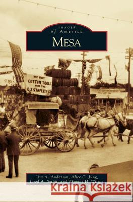 Mesa Lisa A Anderson, Alice C Jung, Jared A Smith 9781531629892 Arcadia Publishing Library Editions