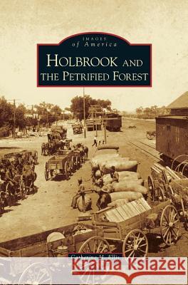 Holbrook and the Petrified Forest Catherine H Ellis 9781531630270