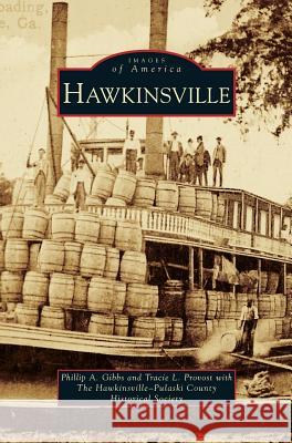 Hawkinsville Phillip A Gibbs, Tracie L Provost, Hawkinsville-Pulaski County Historical S 9781531633738 Arcadia Publishing Library Editions