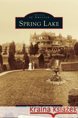 Spring Lake Patricia Florio Colrick 9781531641177 Arcadia Publishing Library Editions