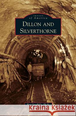 Dillon and Silverthorne Roy Goodliffe, PhD 9781531646042