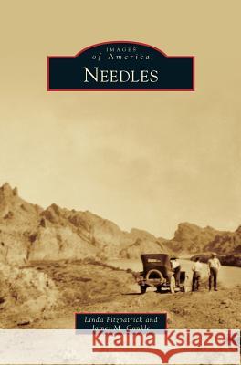 Needles Linda Fitzpatrick, James M Conkle 9781531653361