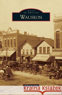 Wauseon Robert Krumm 9781531670047 Arcadia Publishing Library Editions