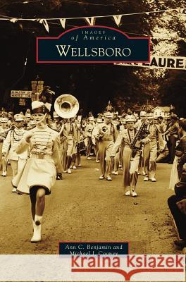 Wellsboro Ann C Benjamin, Michael J Cooney 9781531673833 Arcadia Publishing Library Editions