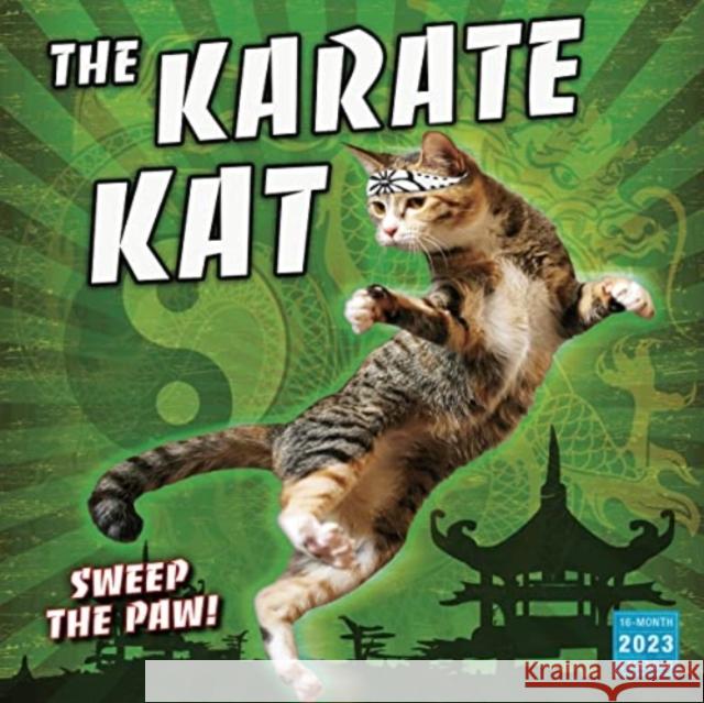 KARATE KAT THE SELLERS PUBLISHING 9781531916190