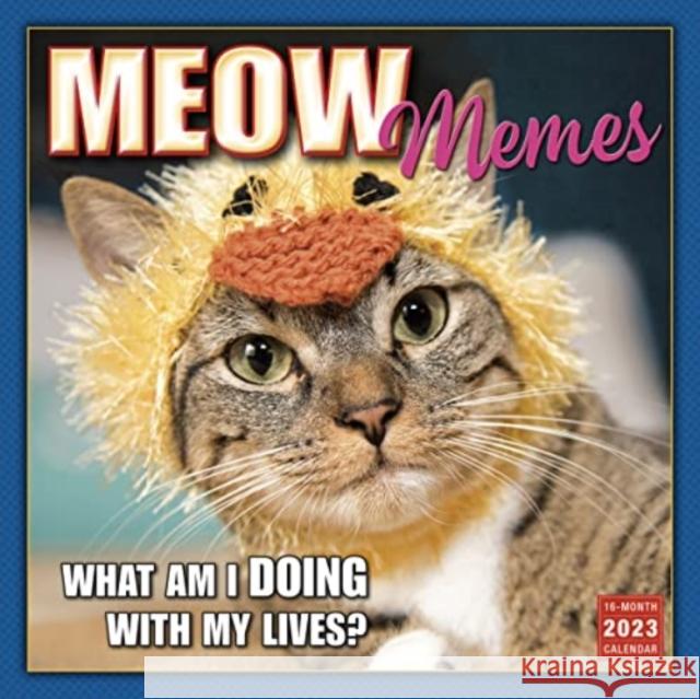 MEOW MEMES SELLERS PUBLISHING 9781531916275