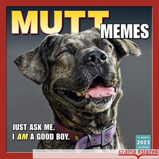 MUTT MEMES SELLERS PUBLISHING 9781531916282