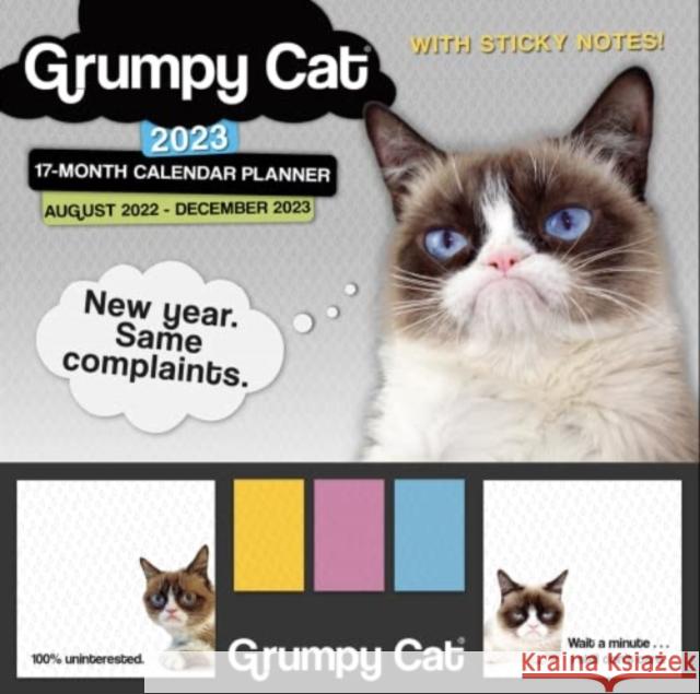 GRUMPY CAT ITS ALL DOWNHILL FROM HERE GRUMPY CAT LIMITIED 9781531917456