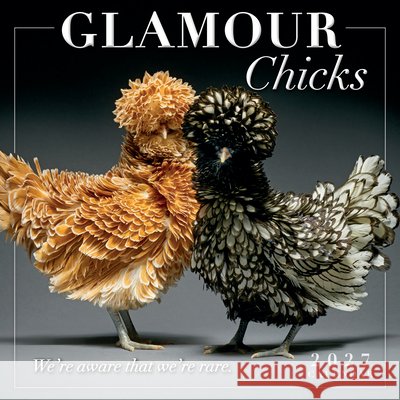 Glamour Chicks Moreno Monti and Matteo Tranchellini 9781531961763