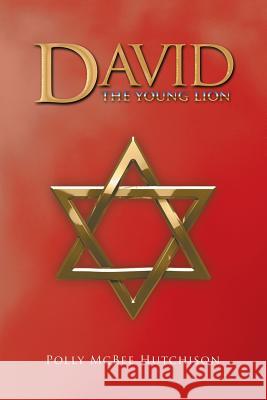 David: The Young Lion Polly McBe 9781532026546 iUniverse
