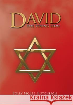 David: The Young Lion Polly McBe 9781532026553 iUniverse