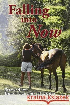 Falling into Now: Memories of Sport, Traumatic Brain Injury, and Education Claire Smith 9781532060403 iUniverse