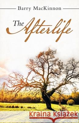 The Afterlife Barry MacKinnon 9781532091032