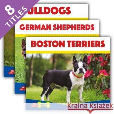 Big Buddy Dogs (Set)  9781532112034 Abdo Publishing