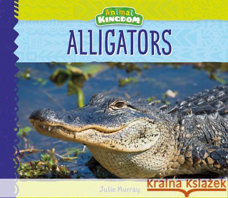 Alligators Julie Murray 9781532116131 Big Buddy Books