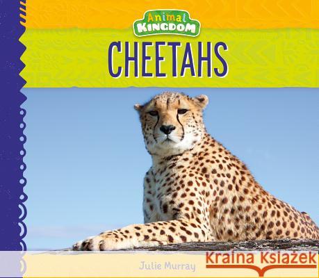 Cheetahs Julie Murray 9781532116223 Big Buddy Books