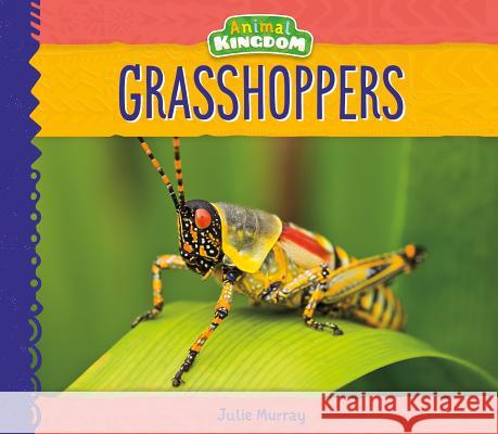 Grasshoppers Julie Murray 9781532116339 Big Buddy Books