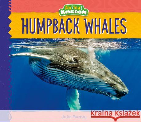 Humpback Whales Julie Murray 9781532116384 Big Buddy Books