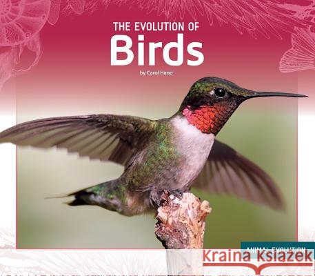 The Evolution of Birds Carol Hand 9781532116636