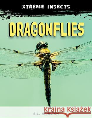 Dragonflies S. L. Hamilton 9781532118173 A&d Xtreme