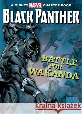 Black Panther: The Battle for Wakanda Brandon T. Snider Caravan Studios 9781532142147 Chapter Books