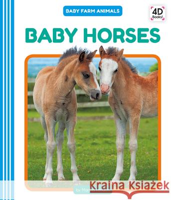 Baby Horses Martha London 9781532167454 Pop!