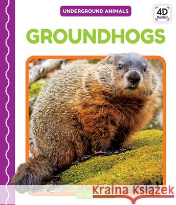 Groundhogs Martha London 9781532167621 Pop!