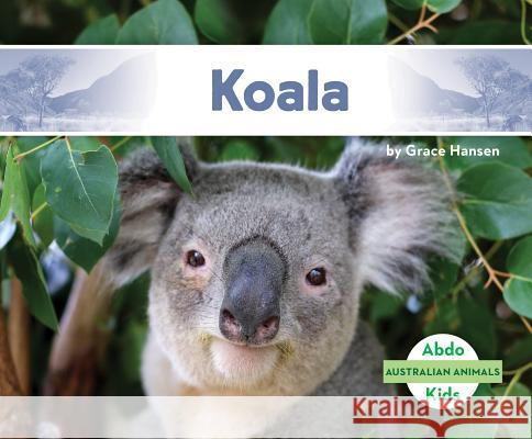 Koala Grace Hansen 9781532185441 Abdo Kids Jumbo