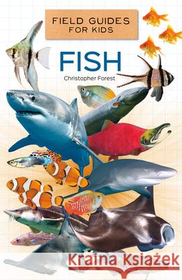 Fish Christopher Forest 9781532193057 Abdo Publishing