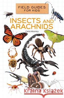 Insects and Arachnids Carla Mooney 9781532196973