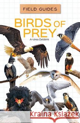 Birds of Prey Andrea Debbink 9781532198809 Abdo Reference