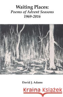 Waiting Places: Poems of Advent Seasons 1969-2016 David J. Adams 9781532319112 Blue Shale Books