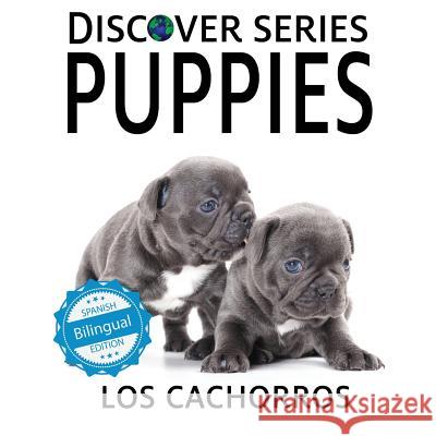 Puppies / Los cachorros Xist Publishing 9781532407703